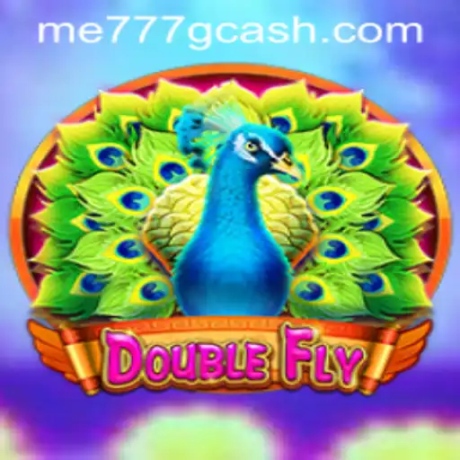 Unveiling DoubleFly: The Exciting New Game of 2023